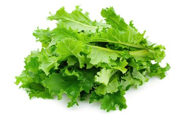 Obraz premium Organic Mizuna Lettuce - Isolated Mustard Vegetable Salad for Healthy Food Concept