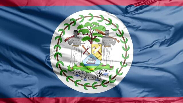 waving flag of belize