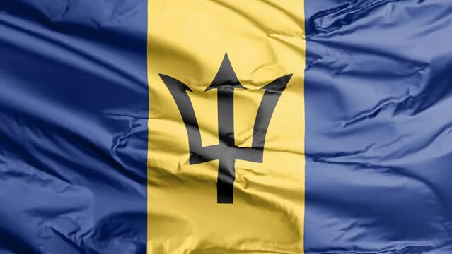 waving flag of barbados