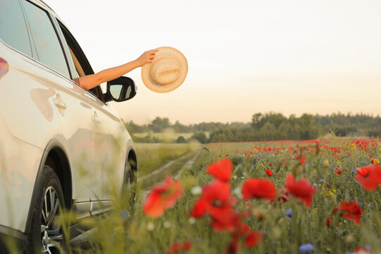 Hello Summer. Woman enjoying summer vacation. Hands holding hat out of car window.  Summertime, summer fun, enjoying, relaxing, tourism, travel, leisure time, vacation mode, happiness concept. 