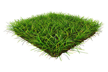 Green carpet grass isolated on transparent background.
