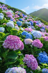 Obraz premium The hydrangeas are all over the hills, pink, blue, white, purple. Very bright. 3D super realistic style, perfect details, 