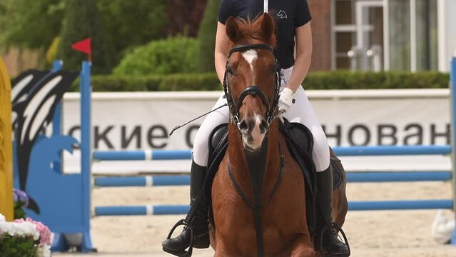 A person is seen riding a horse in an arena, showcasing equestrian sport skills during a jumping competition