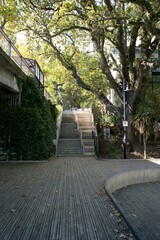 path and Stairs in the park