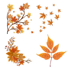 Flat Textured Risograph Vibrant Autumn Box Elder Leaf isolated on transparent background generative ai