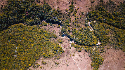Natureza Cachoeiras Árvores Chapada dos Veadeiros Goiás Brasil Paisagem Beleza Cênica Aventura Trilhas Parque Nacional Conservação Biodiversidade Rios Riachos Flora Brasil Maravilhas Naturais Explorar