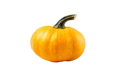 Ripe Gourd Isolated On Transparent Background PNG.