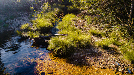 Natureza Cachoeiras Árvores Chapada dos Veadeiros Goiás Brasil Paisagem Beleza Cênica Aventura Trilhas Parque Nacional Conservação Biodiversidade Rios Riachos Flora Brasil Maravilhas Naturais Explorar
