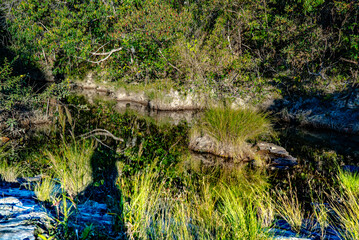 Natureza Cachoeiras Árvores Chapada dos Veadeiros Goiás Brasil Paisagem Beleza Cênica Aventura Trilhas Parque Nacional Cerrado Biodiversidade Rios Riachos Flora Brasil Maravilhas Naturais Explorar