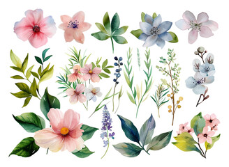 Set of floral branch elements. Flowers and green leaves. Wedding with floral poster, invite. Vector arrangements for greeting card or invitation design vector illustration