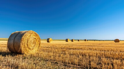 A serene rural landscape with round hay bales scattered across a golden harvested field under a clear blue sky