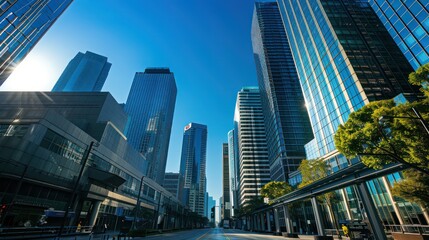 Fototapeta premium A serene view of an empty city street lined with modern skyscrapers and lush green trees