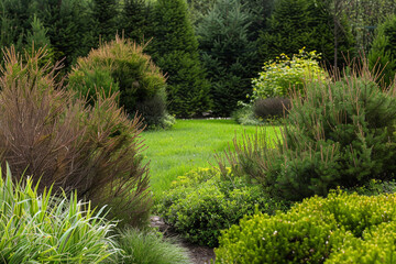Seamless blend of tall and short shrubs in a spring garden with central grassy area, captured in high-resolution ultra-HD