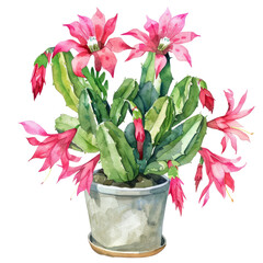 Bouquet of colorful flowers in a vase