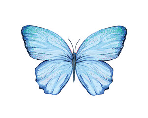 watercolor blue butterfly set illustration design for fashion, t shirt, print, graphic all type decorative	
