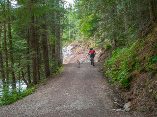 Obraz premium Enjoying Outdoors on Kinney Lake Trail - Mount Robson Provincial Park
