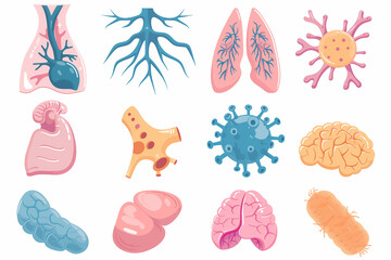 Assorted Human Body Parts Displaying Different Types