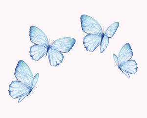 watercolor blue butterfly set illustration design for fashion, t shirt, print, graphic all type decorative