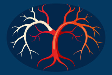 arteries vector illustration