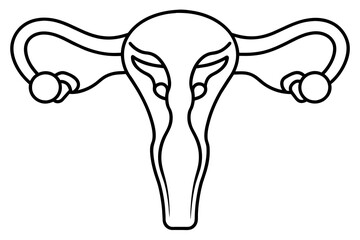 reproductive system line art silhouette illustration