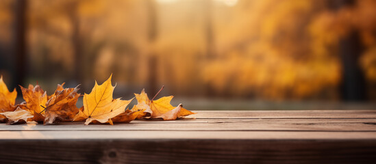 Naklejka na ściany i meble autumn leaves on a park