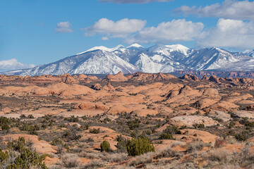 Petrified Dunes of Arches National Park with La Sal Mountains in the Distance