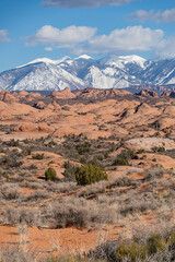 Petrified Dunes of Arches National Park with La Sal Mountains in the Distance