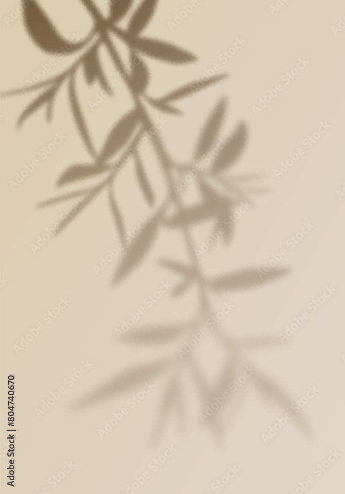 Poster Palm Leaf Png Shadow. Vector Olive Tree Branch Background. Shadow Overlay and Light Effect. Mockup of Abstract Transparent Summer Branch Silhouette.