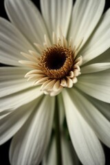 close up shot professional photograph of single flower