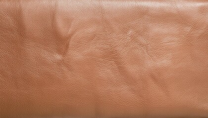 panorama bronze leather texture background pale bronze leather texture