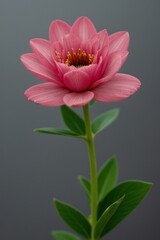 Obraz premium close up shot professional photograph of single flower