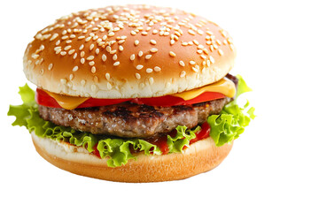 hamburger on a white background