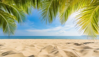 palm tree leaves curtains on sand and blue sky view summer vacation in tropical paradise background