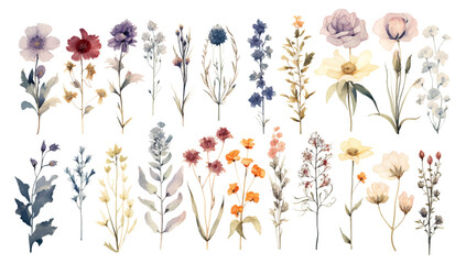 Set of floral branch elements. Watercolor flowers and green leaves. Wedding with floral poster, invite. Vector arrangements for greeting card or wedding invitation design vector illustration