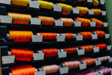 amount of different skeins of threads on special shelves in sewing studio or atelier, several colours, yellow and orange and pink, handmade and sewing concept