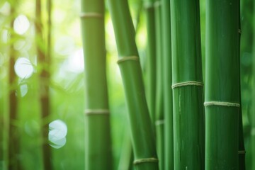 Towering Bamboo forest closeup. Green nature. Generate Ai