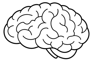 brain line art silhouette illustration