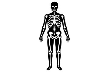 skeleton line art silhouette illustration