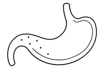 stomach line art silhouette illustration