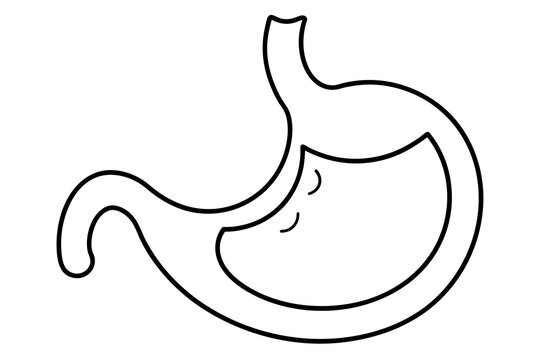 recommend clip art: stomach line art silhouette illustration