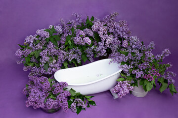 baby bath with purple lilac flowers. photo zone for a children's photo shoot with lilacs. Lilac...