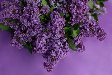 bouquet of purple flowers with green leaves and purple background. bouquet of lilacs. purple lilac