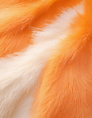 A close-up of soft, fluffy fur in shades of white and orange, showcasing intricate textures and patterns