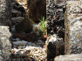 Large pieces of old concrete, close view