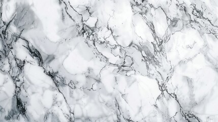 Detailed image of white marble with complex black and grey veining patterns.