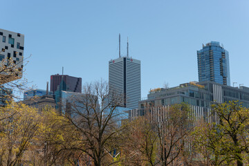 Obraz premium view of the downtown core (Financial District) looking south east from Grange Park in spring (Toronto, Canada)