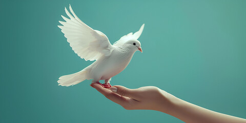 white dove flying, Flying Dove on Isolated Background Image Generative AI, The concept of the dove of peace Symbol of freedom and international day of peace, The concept of the dove of peace Symbol 

 - Powered by Adobe