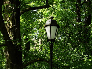 Lampa w parku