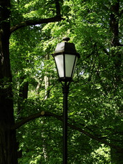 Lampa w parku