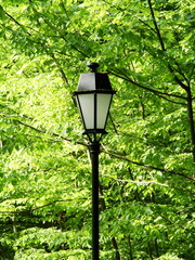 Lampa w parku